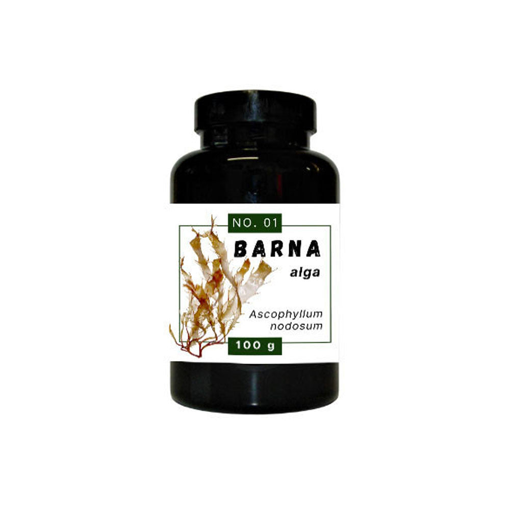 Quebeck - Barna alga