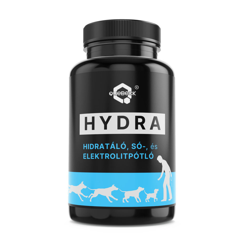 QUEBECK - Hydra rehidráló, sópótló kutyáknak 400g