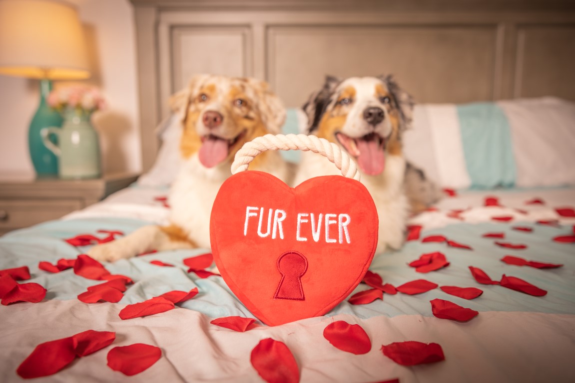 Hugsmart - Fur Ever Lock Heart plüss