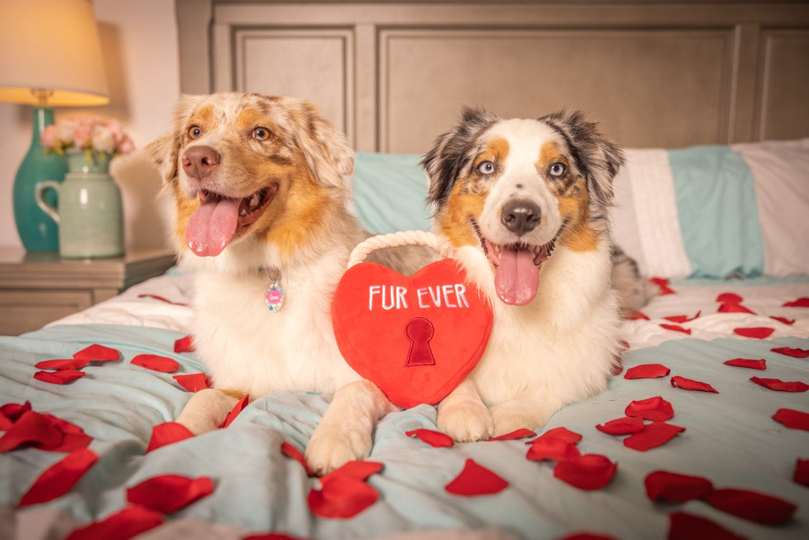 Hugsmart - Fur Ever Lock Heart plüss