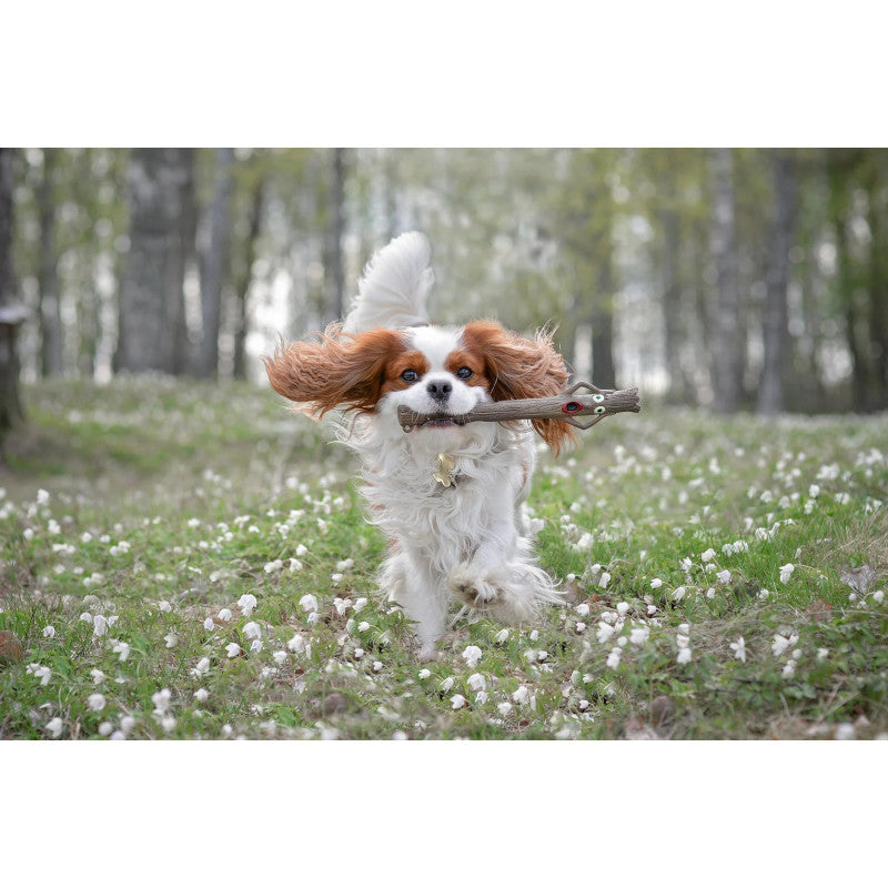 DOOG Super Stick - Treemendous Twig (bothelyettesítő játék) 28x6cm