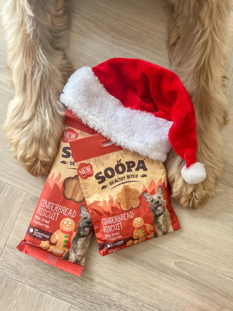 SOOPA - Healty Bites - Gingerbread Biscuit