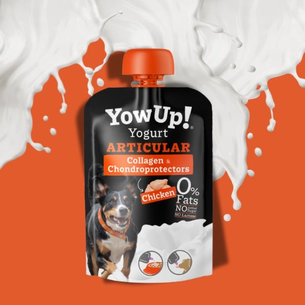 YowUp! - Articular - Prebiotikus Joghurt - Kondroprotektor, Kollagén és Kurkuma