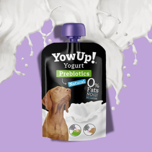 YowUp! - Prebiotikus Joghurt