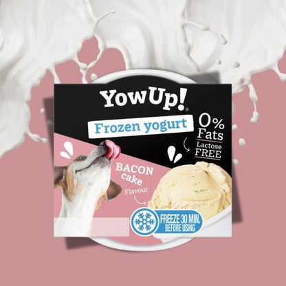 YowUp! - Frozen Joghurt - Bacon Cake