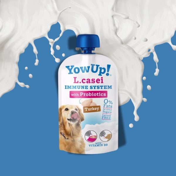 YowUp! - L. Casei Immune System joghurt