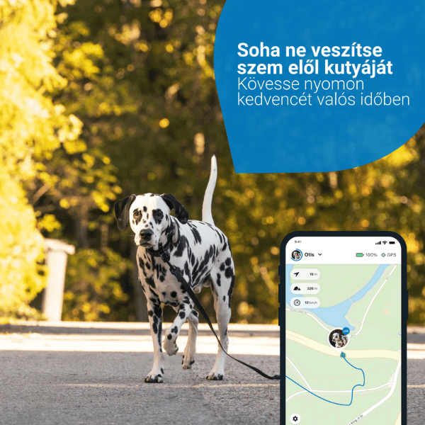 TRACTIVE GPS DOG 4 – Nyomkövető és Aktivitásfigyelő kutyáknak