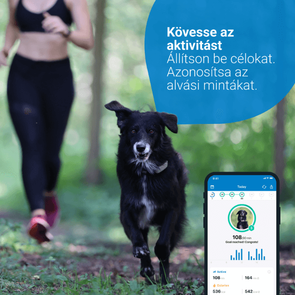 TRACTIVE GPS DOG 4 – Nyomkövető és Aktivitásfigyelő kutyáknak