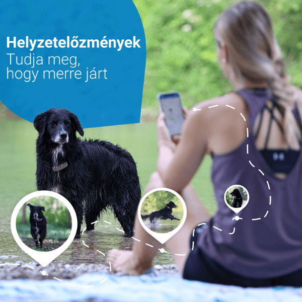 TRACTIVE GPS DOG 4 – Nyomkövető és Aktivitásfigyelő kutyáknak