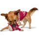 HUNTER -Szarvas Kutyajáték 27 cm