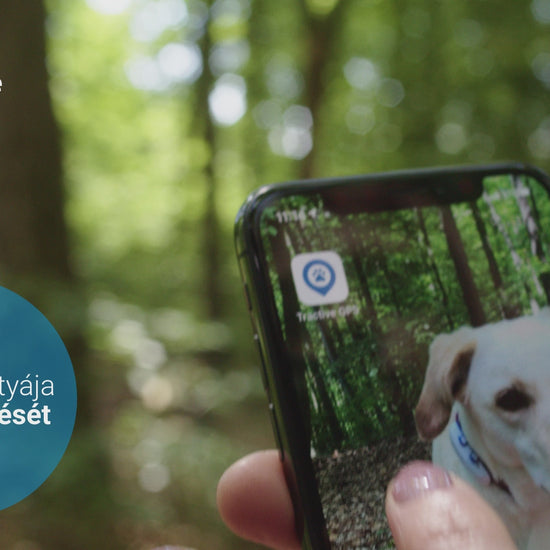 TRACTIVE GPS DOG 4 – Nyomkövető és Aktivitásfigyelő kutyáknak