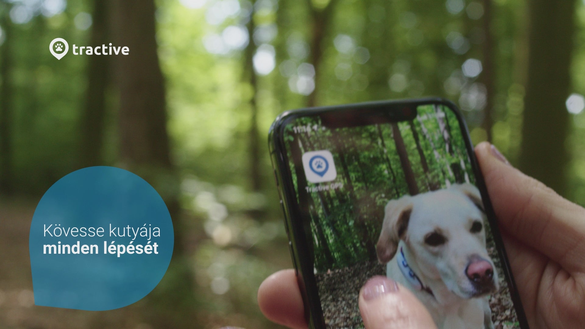 Videó betöltése: TRACTIVE GPS DOG 4 – Nyomkövető és Aktivitásfigyelő kutyáknak