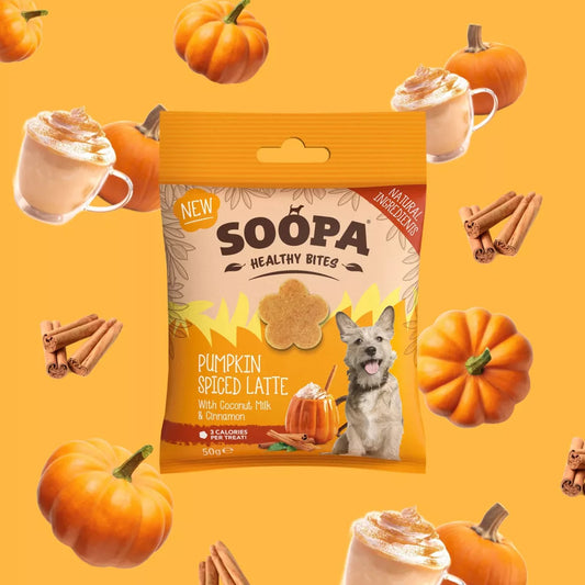 SOOPA - Healty Bites- Pumpkin Spiced Latte