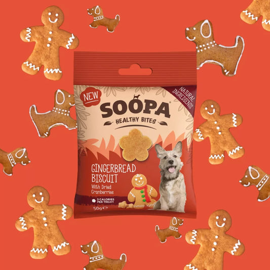 SOOPA - Healty Bites - Gingerbread Biscuit